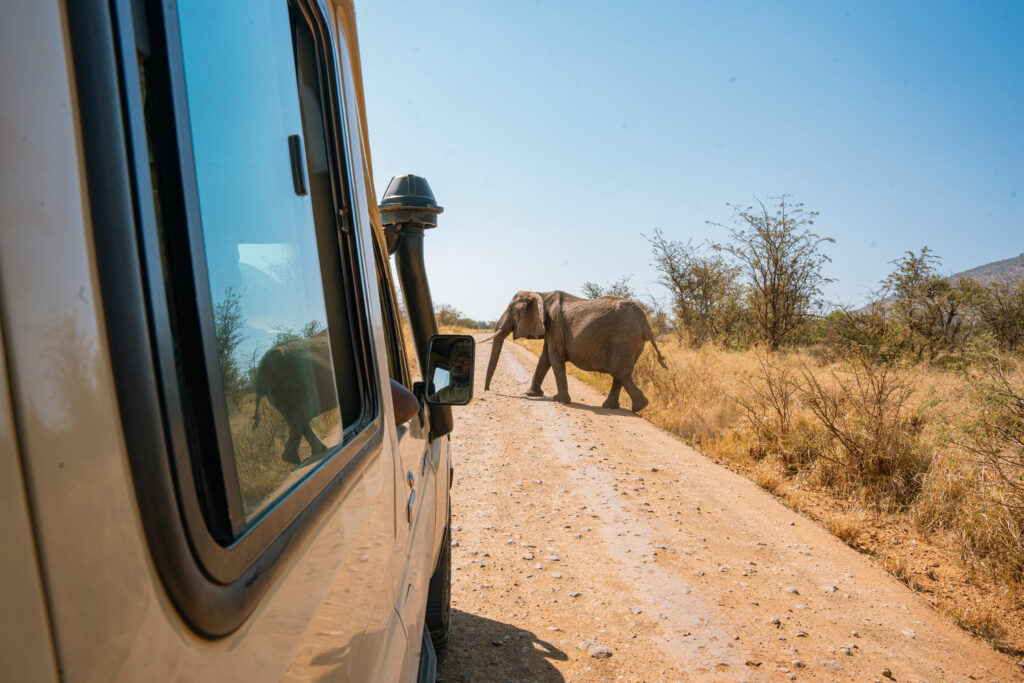 Vehicle + Elephant DSC01719