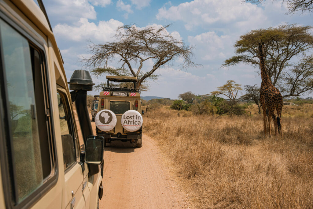 Vehicle & Giraffe DSC01964